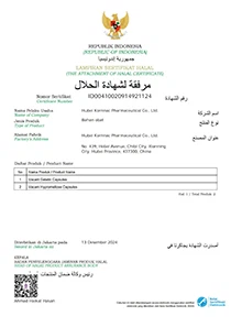 HALAL INA
